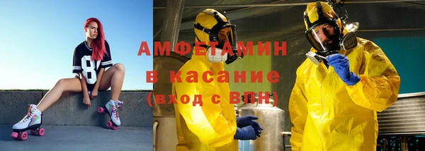 прущие грибы Балахна