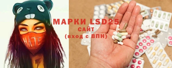 прущие грибы Балахна