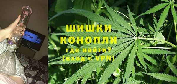 прущие грибы Балахна