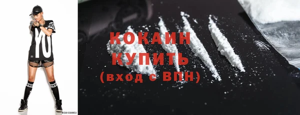 прущие грибы Балахна