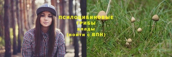 прущие грибы Балахна