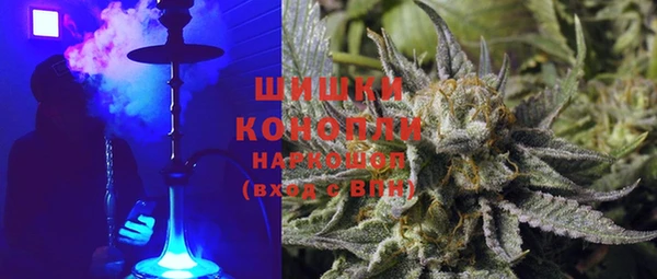 прущие грибы Балахна