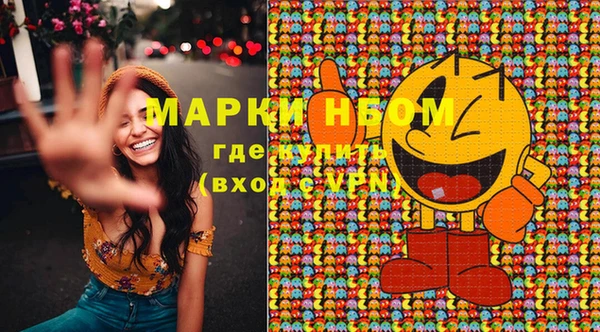 прущие грибы Балахна